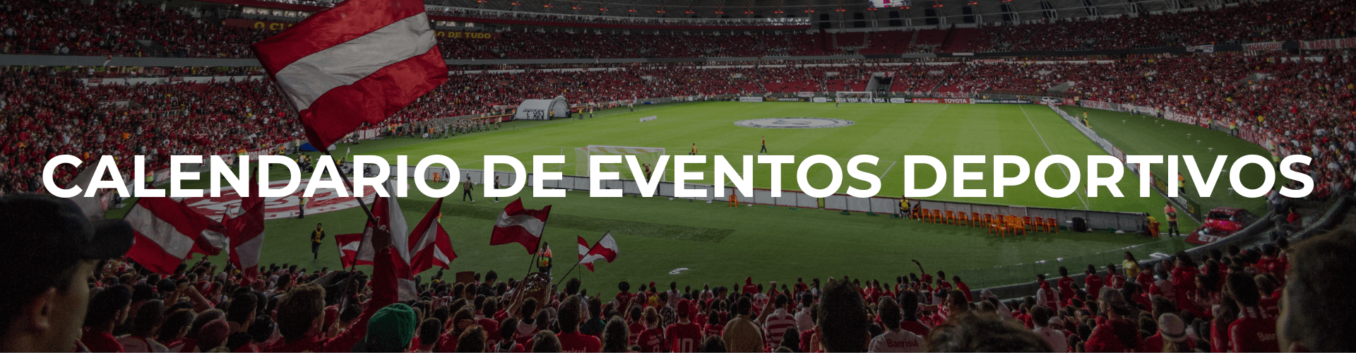 Diseño sin título (31) (1)